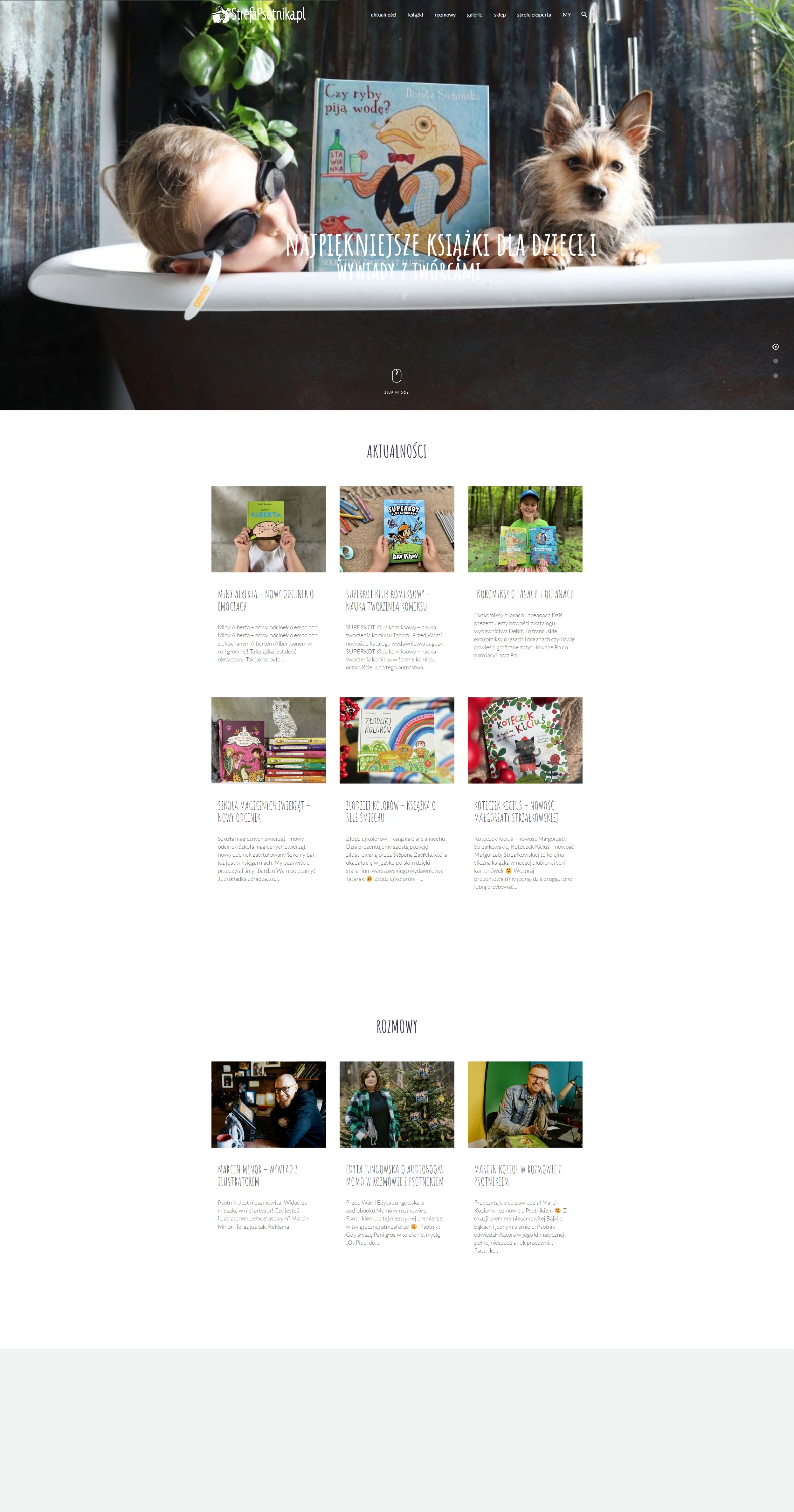 Strona internetowa Wordpress dla twórcy treści zoptymalizowana pod SEO - strefapsotnika.jpeg
